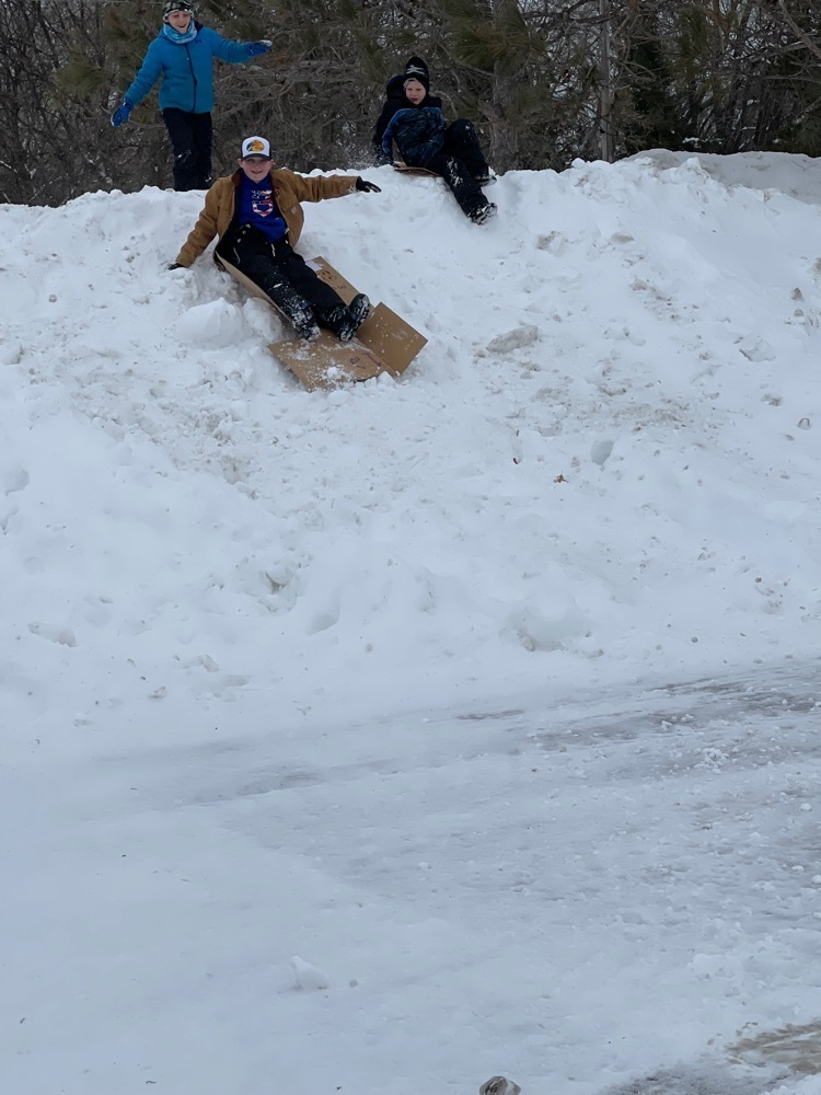 Cardboard sledding